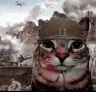 warcar