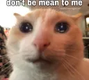 mean