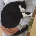 cuddle