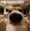my reaction