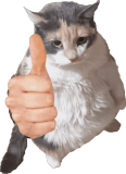 chat_va? chat_va?