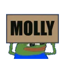 MOLLY BANNER