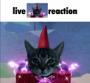 live reaction