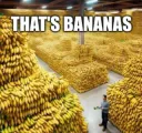 Thats Bananas!