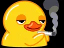 savage smoking duck