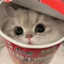 ramencat