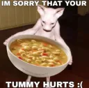 sorry ur tummy hurts
