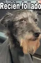 Recién follado
