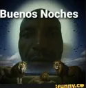 buenas noches