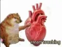 heart touching