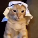 Habibi