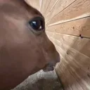 oh?