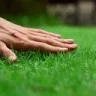 Touch Grass