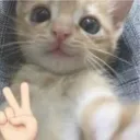 hii