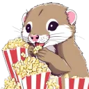 Ferret Popcorn