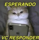 gato: esperando vc responder