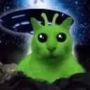 gato