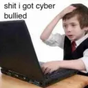 cyber bullied
