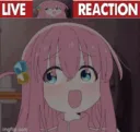 live bocchi reaction