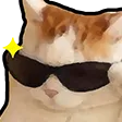 coolcat