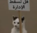 :فل تسقط الادارة: