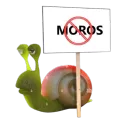 MOROS NO