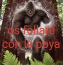 Os foyare con la poya