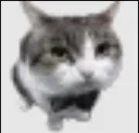 ..
