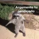 argumenta bro