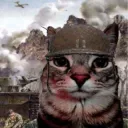 war cat