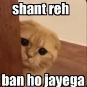 Ban ho jayega