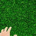 touchgrass