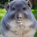 Khé