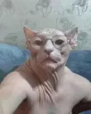 Mi abuelo