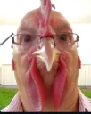 Rogelio