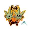 Best Bugs