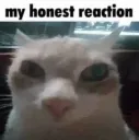my honest reaction