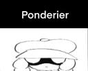 The Ponderer