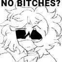 No bitches