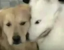 ??