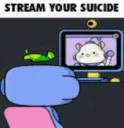 stream