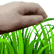 Touch grass