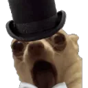 emanuel spins into the void