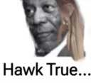 hawk true