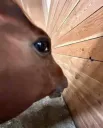 o?