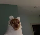 yo