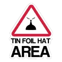 tin foil hat area