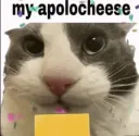 apolocheese