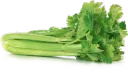 celery