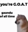 hexrt_GOATTT